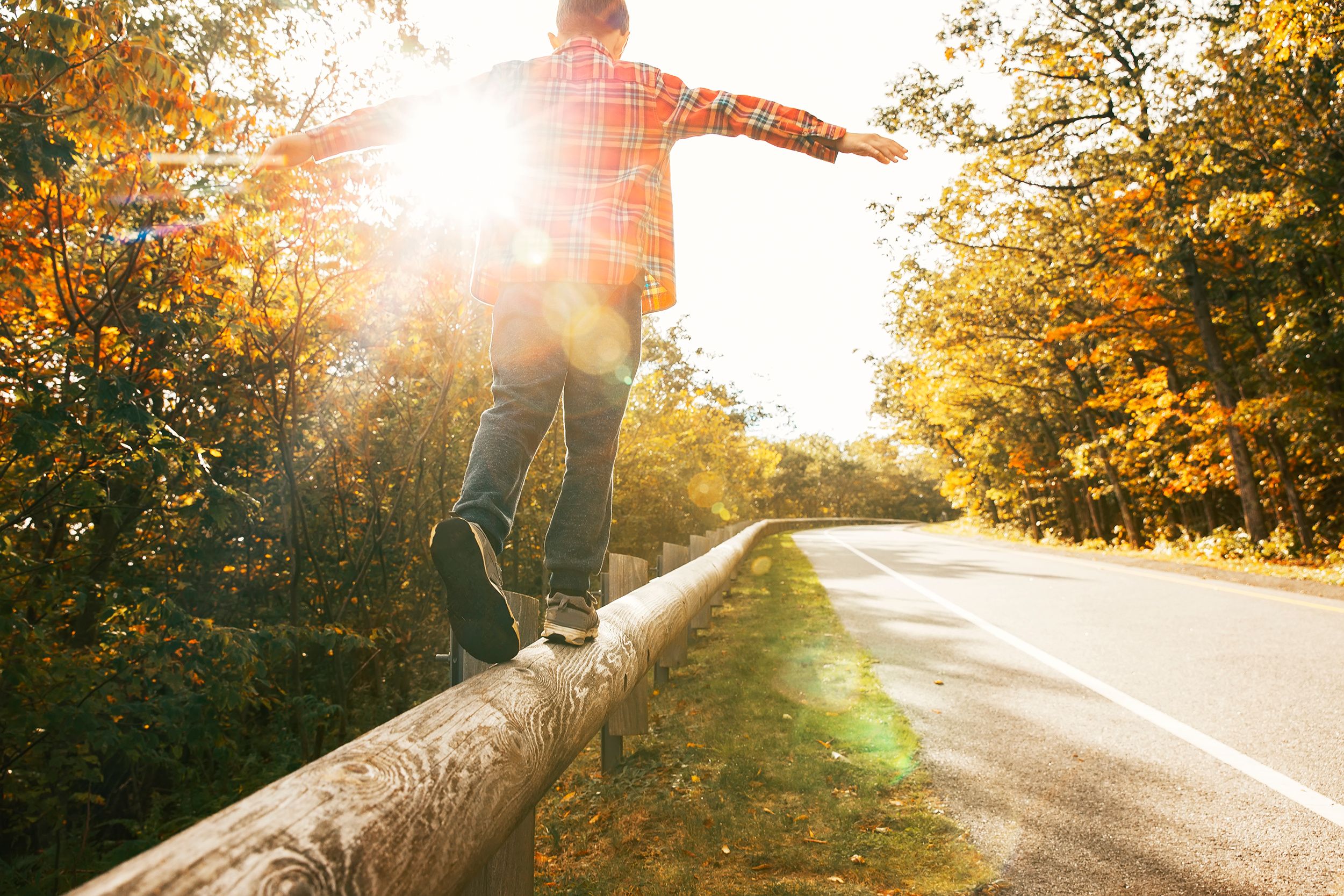 The Art of Balance