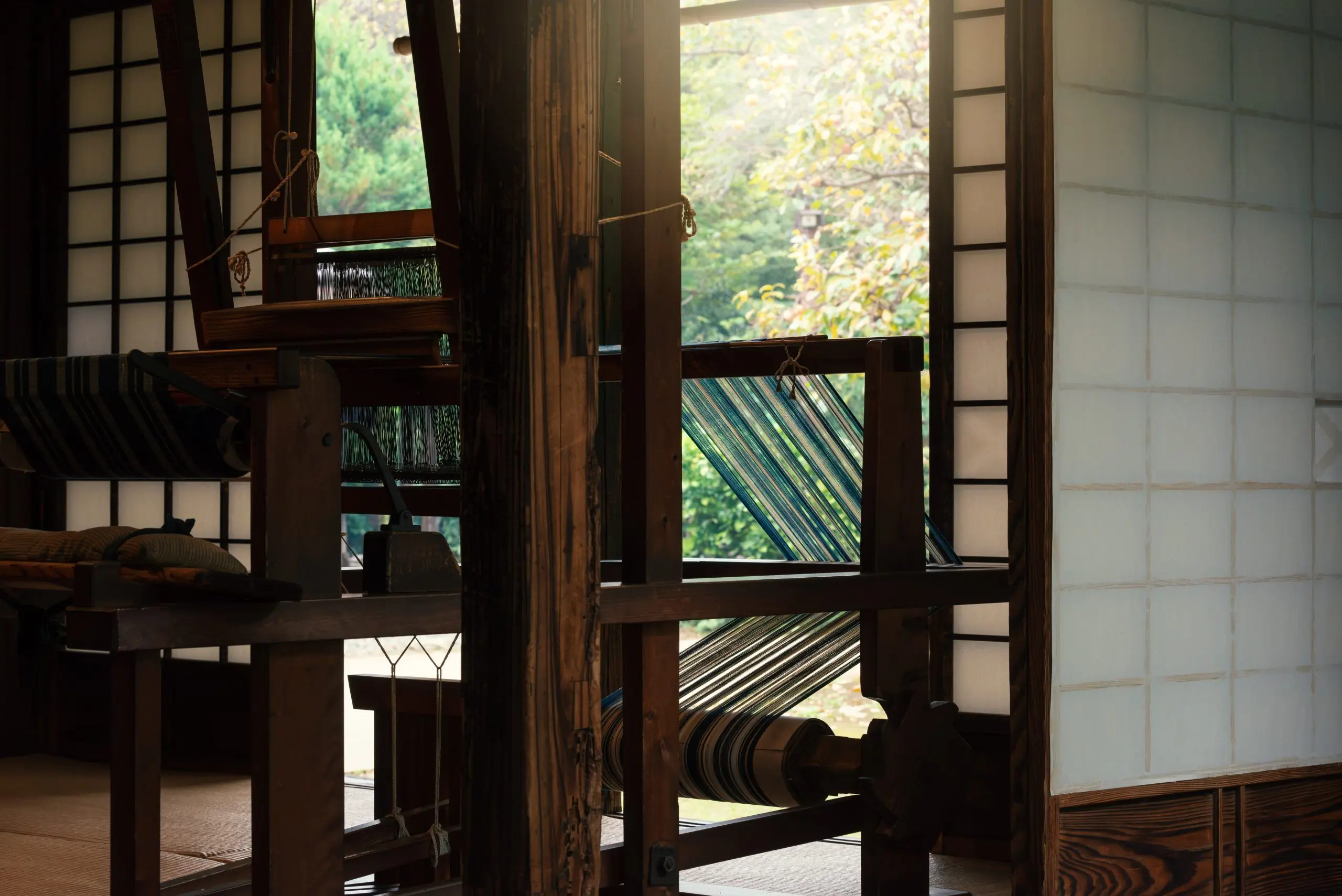 Weaving Longevity