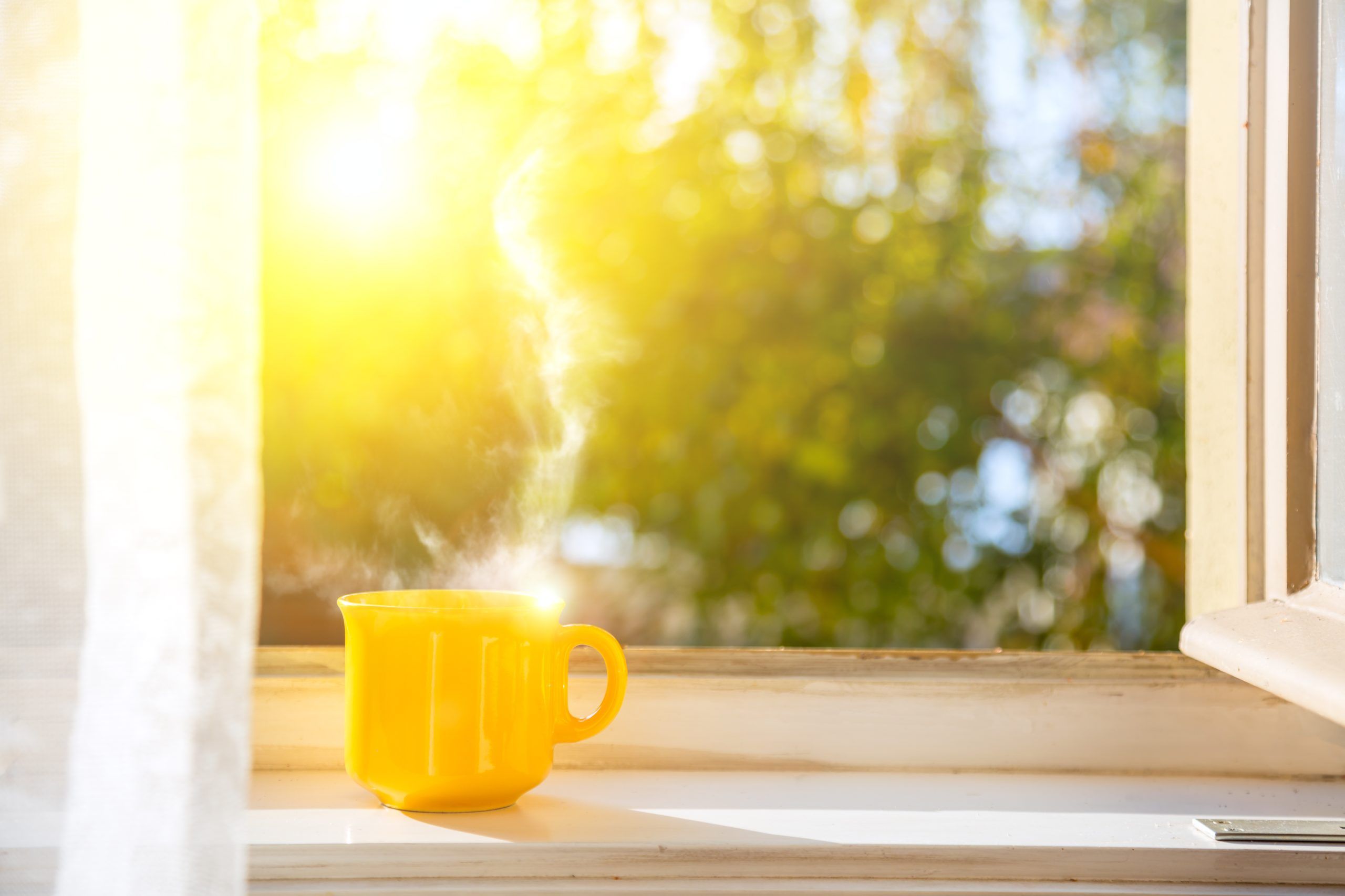 Sunny Side of the Street