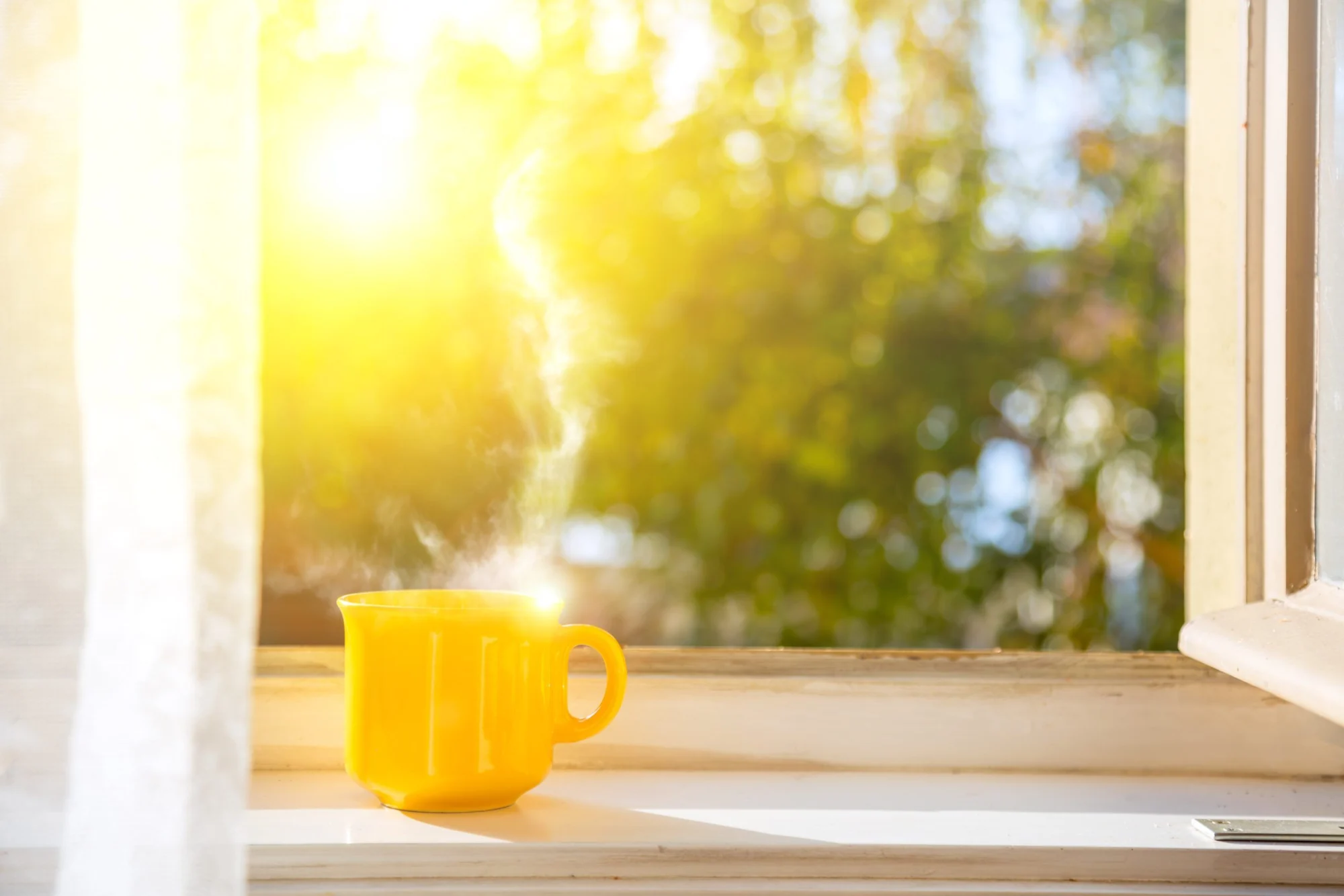 Sunny Side of the Street