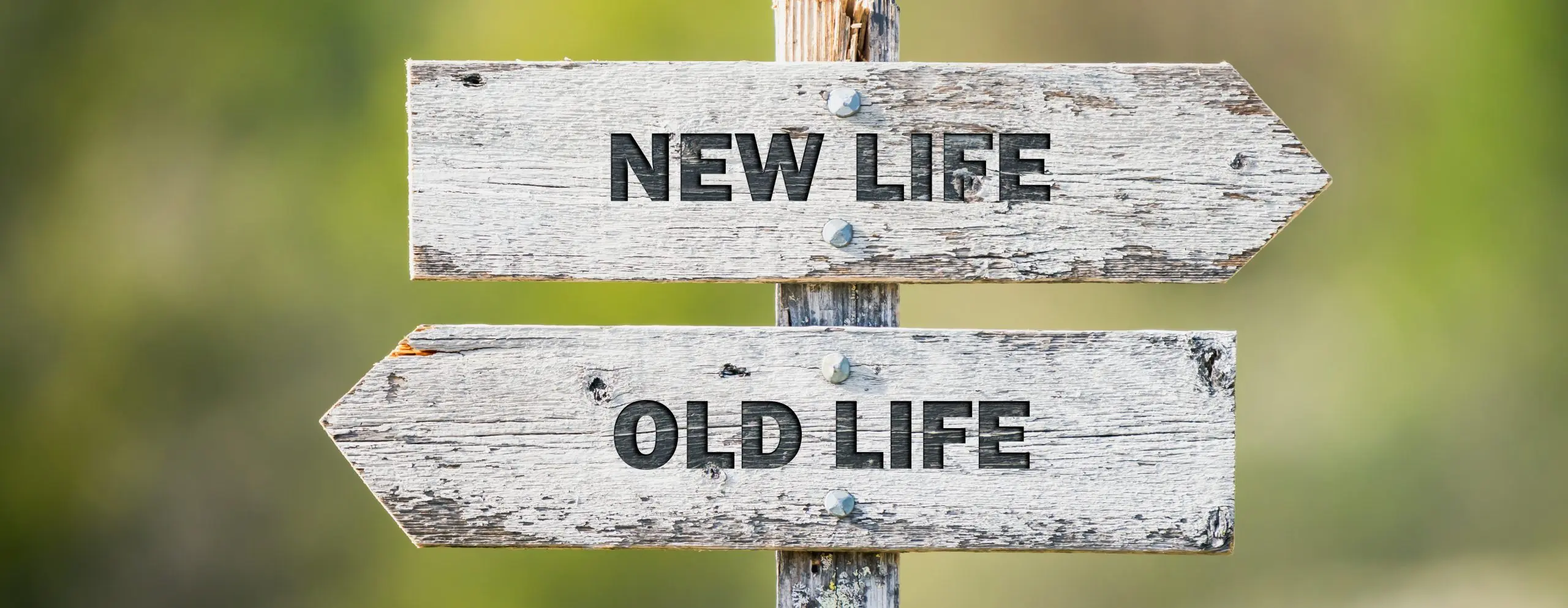 Declutter Your Life