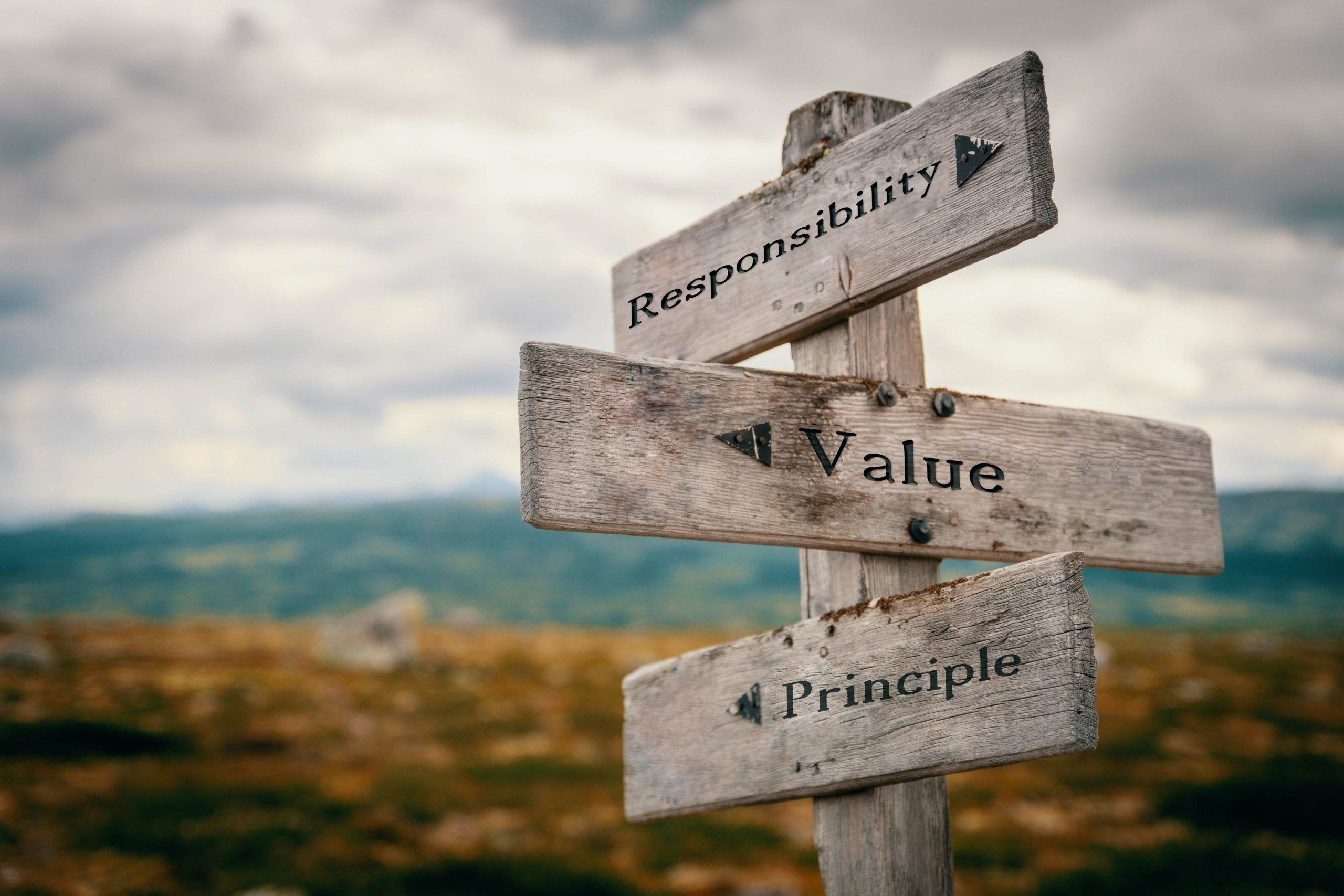 What are Your Guiding Life Principles?