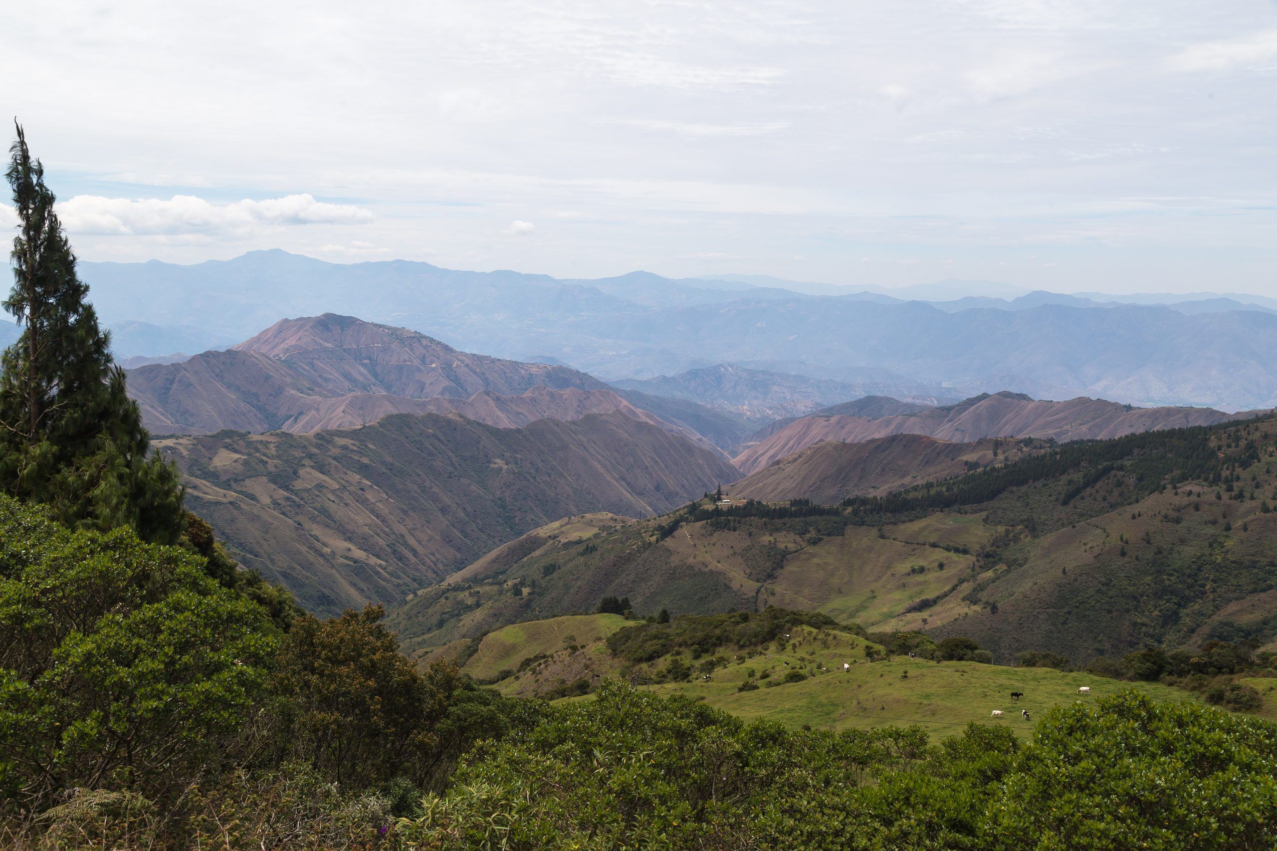 Valley of Longevity