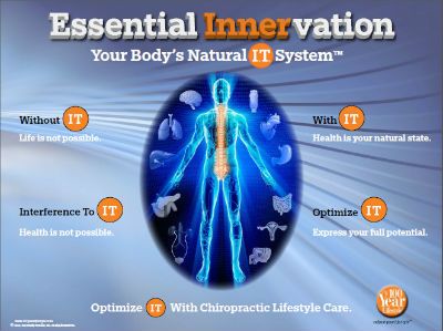 Nerve and Lifestyle Interference